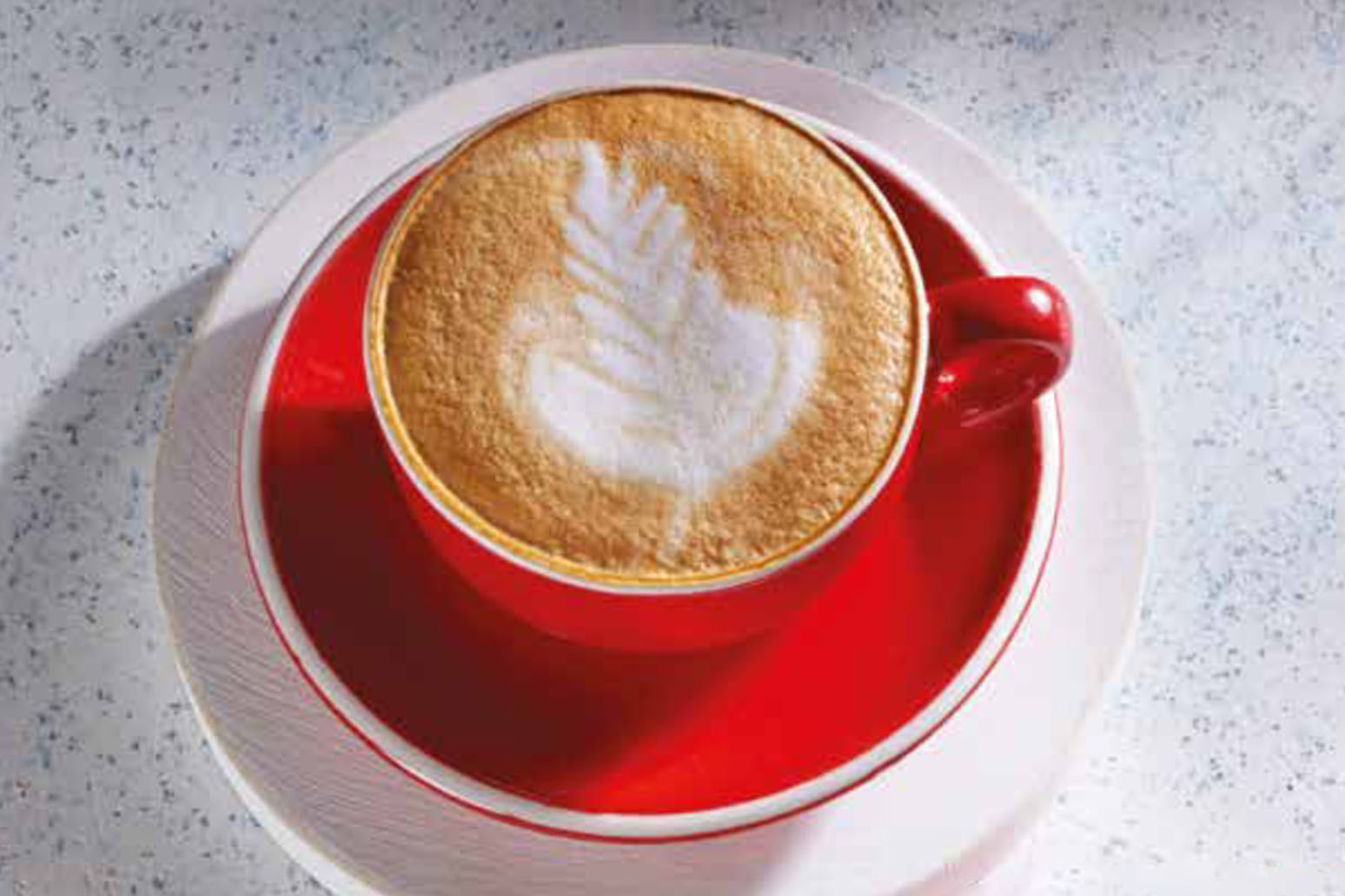 Ордзо капучино